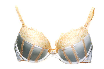 Image showing Violet bra without lace