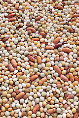 Image showing Mixed pulse – lentils, peas, soybeans, beans - background