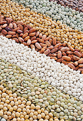 Image showing Mixture of dried lentils, peas, soybeans, beans  - background