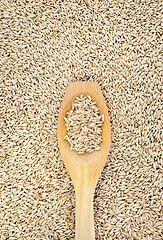 Image showing Wooden spoon and dried husked oats