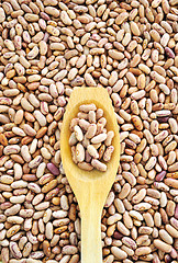 Image showing Wooden spoon and dried pinto beans