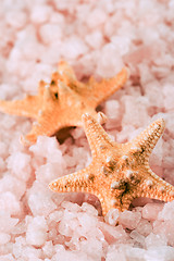 Image showing two starfishes and sea salt