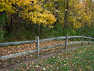 Image showing Wooden Fence In Autumn