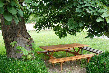 Image showing Table in garden