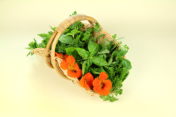 Image showing Garden Picked Herbs