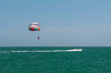 Image showing Parasailing