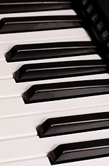 Image showing Piano Keys