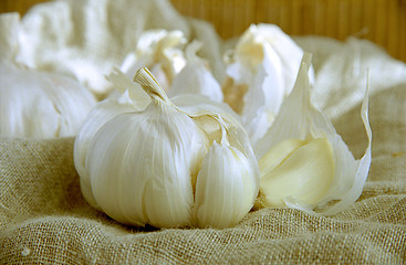 Image showing Garlic cloves III