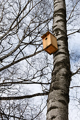 Image showing Bird house hanging on the trunk of a birch