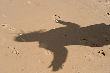 Image showing Shadow in dune