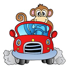 Image showing Monkey in car