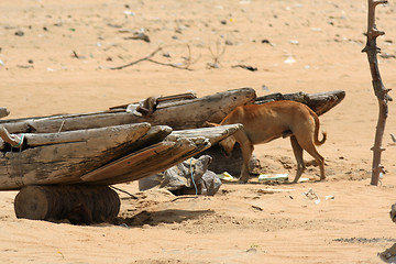 Image showing Beach at Kalpitiya