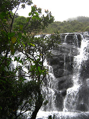 Image showing Waterfall