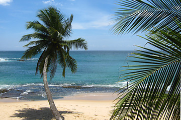Image showing Bay in Tangalle