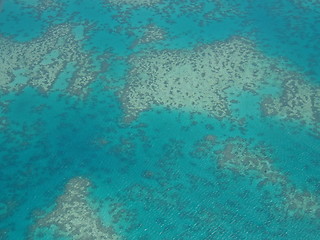 Image showing Barrier Reef