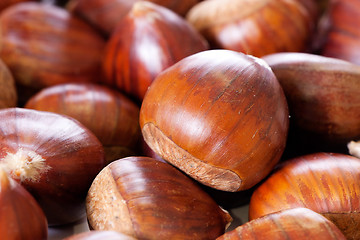 Image showing hazelnuts