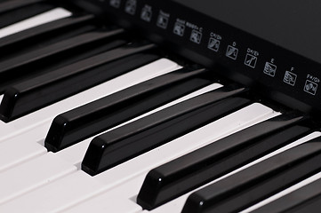 Image showing Piano Keys