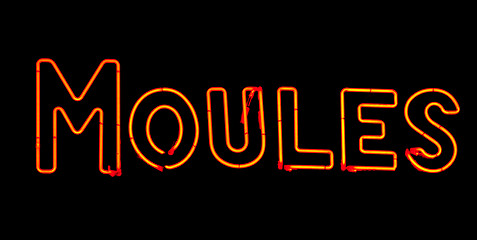 Image showing Mussel neon sign