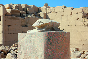 Image showing scarabaeus monument in karnak temple