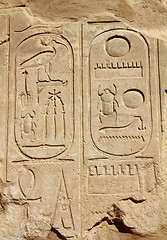 Image showing ancient egypt hieroglyphics on wall