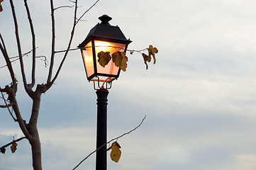 Image showing Autumn feeling