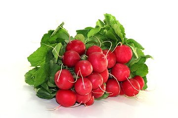 Image showing Radish