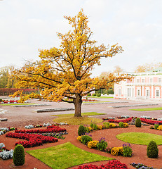 Image showing Autumn park Kadriorg, Tallinn