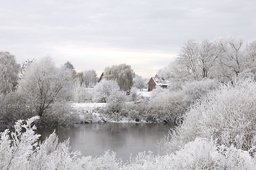 Image showing Winterland