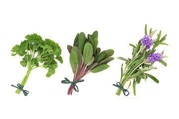 Image showing Parsley, Sage and Lavender Herbs