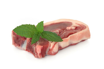 Image showing Lamb Chop with Mint Leaf