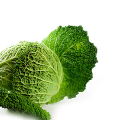 Image showing fresh savoy cabbage