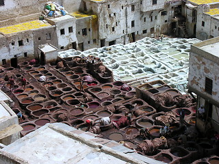 Image showing Moroccan Tannery