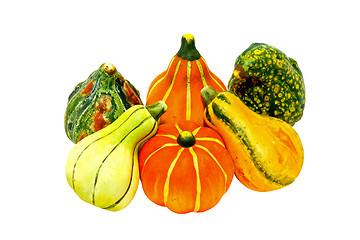 Image showing Gourds isolated