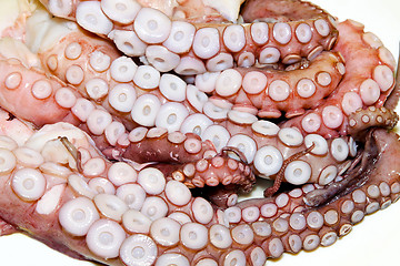 Image showing Octopus arms