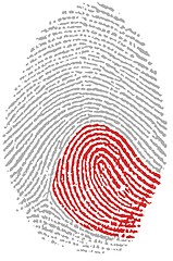 Image showing Japan flag Fingerprint