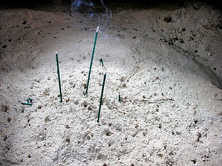 Image showing Incense bronze