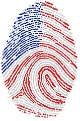 Image showing Usa flag Fingerprint