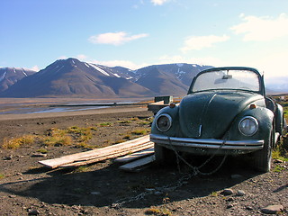 Image showing Svalbard abandoned Beetle