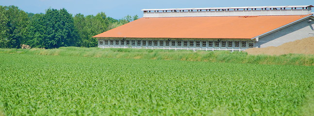 Image showing Orange Barn