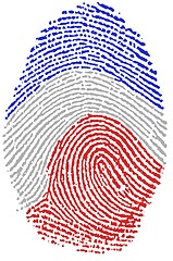 Image showing France flag Fingerprint