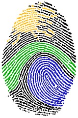 Image showing Nature sign Fingerprint