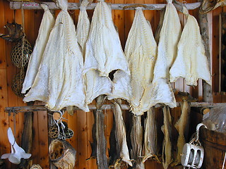 Image showing Seasoned dried Codfish