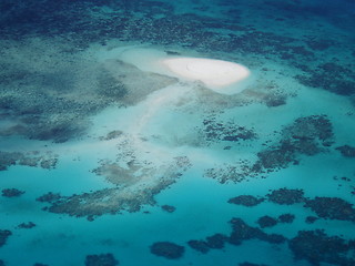 Image showing The Great Barrier Reef