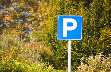 Image showing Autumn parking slot