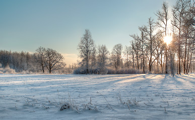 Image showing Winter sun