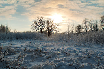 Image showing Winter