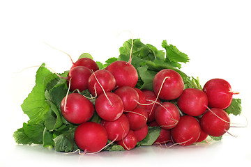 Image showing Radish