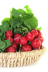 Image showing Radish