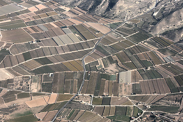 Image showing Agriculture in Spain