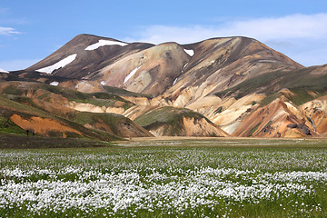 Image showing Iceland - Landmannalaugar
